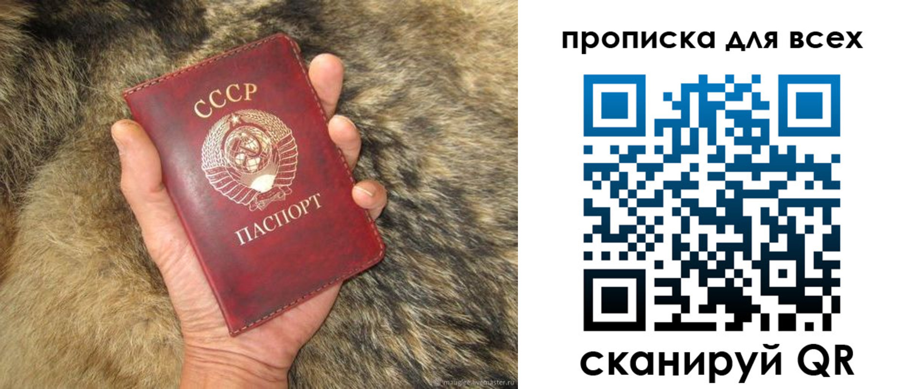 прописка в квартире в Аше
